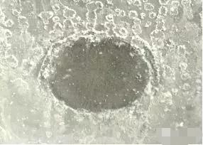  ˮԟoC(j)\ķ(yng)C(j)ʾD